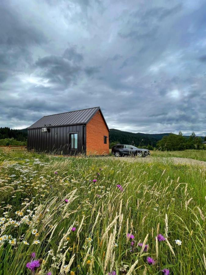 Barn S&S House Villa Mykulychyn Exterior photo